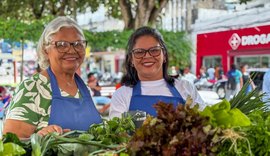 Circuito de Regional de Feiras movimenta o Agreste com sabores, cores e histórias do campo