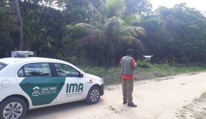 Operação Mata Atlântica em Pé identifica e coíbe crimes ambientais em Alagoas