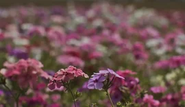Primavera começa com chegada de frente fria, temporais e fortes ventos