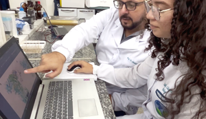Pesquisa financiada pela Fapeal desvenda a evolução genética do vírus chikungunya em Alagoas