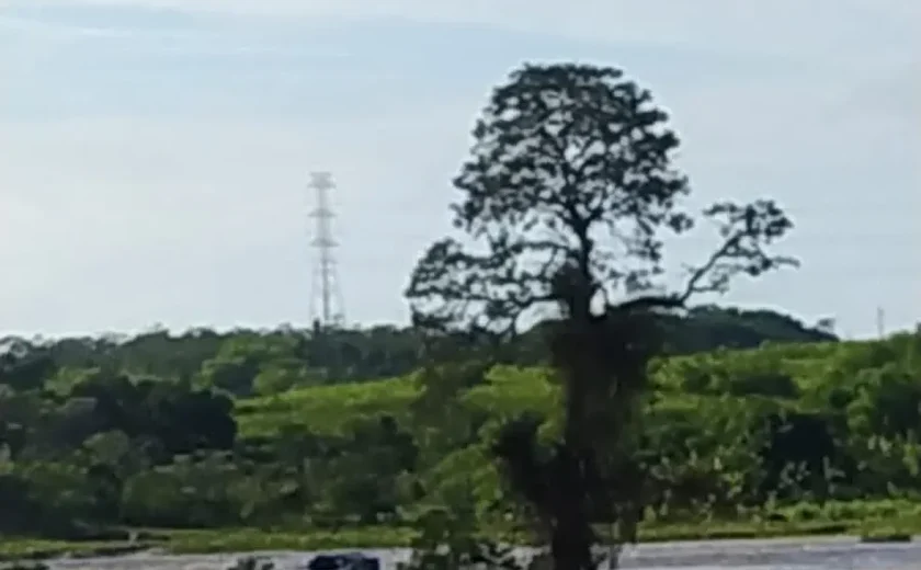 Homem fica ilhado após cair no Rio Mundaú, em Rio Largo