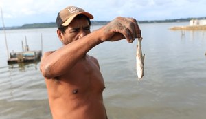 Pesquisador atribui mortandade de peixes a contaminação tóxica