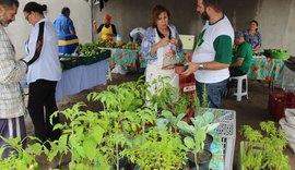 Semarh leva Feira Orgânica para orla de Ponta Verde no próximo domingo (20)