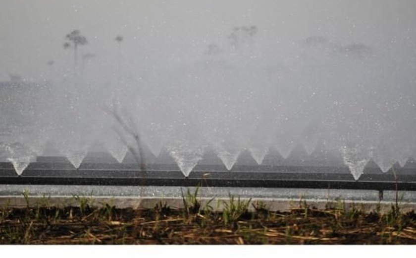 Projeto que ativa infiltração da água no solo abrange 400 mil hectares de mata