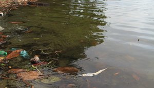 Laudo indica despejo de produtos proibidos na Lagoa Mundaú