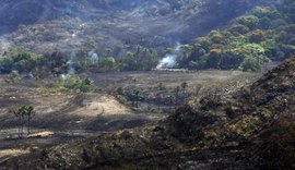 Voluntários representam metade dos envolvidos no combate ao incêndio na Chapada