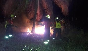 Incêndio em vegetação assusta moradores em Porto de Pedras