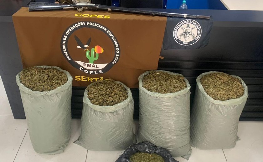 Polícia apreende quase 32kg de maconha em Pariconha