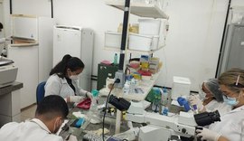 Pesquisa da Ufal investiga potencial do extrato do quiabo no tratamento contra o câncer