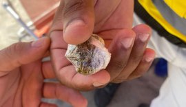 Ronda no Bairro flagra jovem com drogas no Marco dos Corais