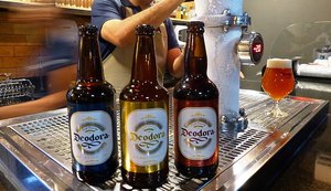 Oito rótulos alagoanos de cervejas artesanais estarão presentes no Festival Cervejar