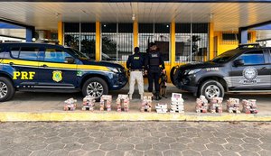 Polícias apreendem mais de 100 kg de drogas em São Sebastião