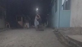 Homem que aparece em vídeo matando cachorro ganha liberdade