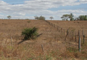Aumenta número de cidades alagoanas com situação de emergência devido à estiagem