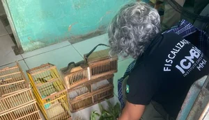 PF deflagra operação para combater comércio ilegal de flora nativa em Alagoas