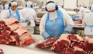 Mercado espera que a exportação de carne bovina do Brasil para China seja retomada este mês