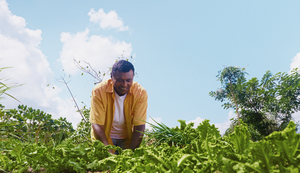 Programa Garantia-Safra libera pagamento para mais de 22 mil agricultores alagoanos