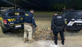 170 kg de maconha são apreendidos em ação conjunta da PRF, Deic, Tigre e SSP
