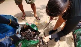 Força Tarefa Aquática apreende aproximadamente 1.500 caranguejos pescados ilegalmente