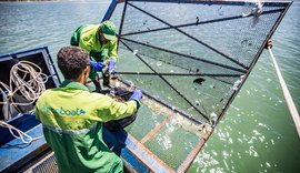 Desenvolvimento Sustentável inicia operação dos Ecoboats na orla marítima da capital
