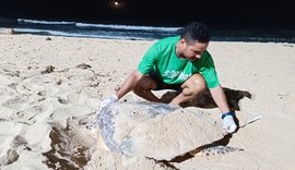 Vídeos: Biota registra desova de duas tartarugas ao mesmo tempo em praias de Maceió