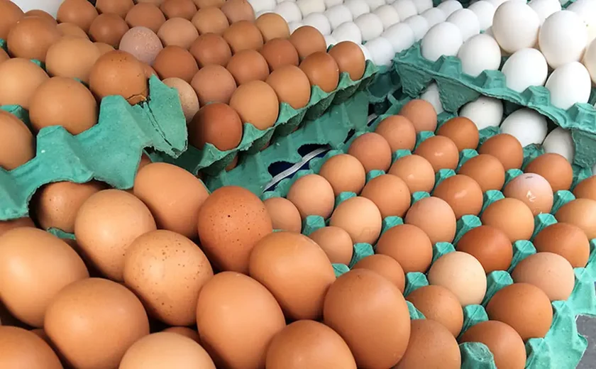 Ovos de granja com caso de gripe aviária estão rastreados, diz Mapa