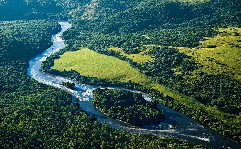 Juiz Federal de Alagoas suspende decreto que extinguiu Reserva Nacional