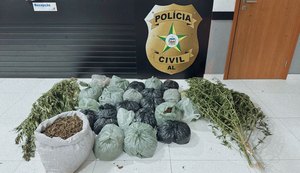 PC apreende 25 quilos de maconha e prende dois homens suspeitos por tráfico de drogas