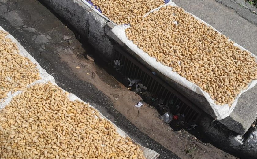 Vigilância apreende cerca de 15 kg de amendoim cozido impróprio para consumo