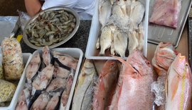 Vigilância Sanitária Estadual orienta sobre o que observar na compra do pescado