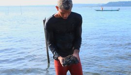 Pesquisadores da Ufal estudam espécie exótica de sururu na laguna Mundaú