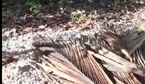 Motociclista é encontrado morto próximo ao veículo no Pontal de Coruripe
