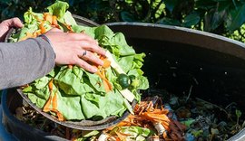 Compostagem contribui para reutilizar rejeitos e resíduos