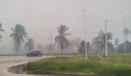 Bombeiros se mobilizam para combater focos de incêndios em vegetação na AL-101 Sul