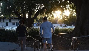 Aumenta número de fraturas em idosos que passeiam com cães, diz estudo