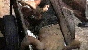 Carregador é morto no Mercado da Produção e corpo jogado em carrinho de mão