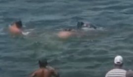 Veículo cai no Rio São Francisco enquanto aguardava balsa para embarcar
