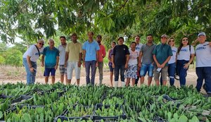 Codevasf e Incra incluem assentamentos de Alagoas em projeto de palma forrageira resistente à cochonilha