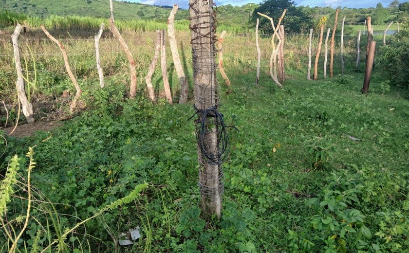 MPF cobra providências e acompanha medidas para garantir segurança na rede elétrica de aldeia
