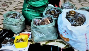 Polícia Civil prende em Arapiraca três traficantes e apreende mais de 14 quilos de maconha