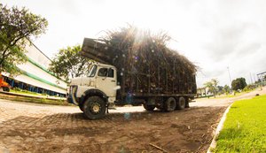 Copervales inicia moagem de cana-de-açúcar da safra 2023/2024 na próxima segunda-feira