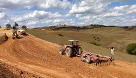 Rodovia que liga Pindoba a Viçosa será entregue à população este ano