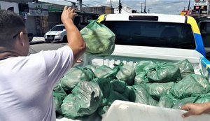 Quase 400 kg de alimentos estragados são apreendidos em supermercado no Jacintinho