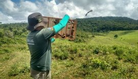 Mais 126 animais silvestres são recuperados e devolvidos à natureza em Alagoas