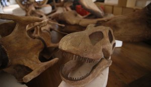 Museu Nacional reabre sala dos dinossauros no Rio de Janeiro