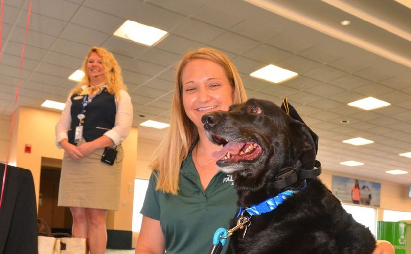 Cachorro vira 'embaixador' de aeroporto nos EUA