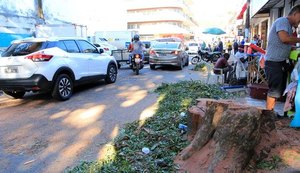 Paisagem histórica sofre alterações com retirada de árvores centenárias no Centro