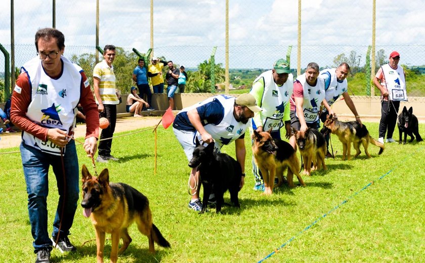 AABB Arapiraca vai sediar a Terceira Etapa do Ranking Norte/Nordeste da raça Pastor Alemão