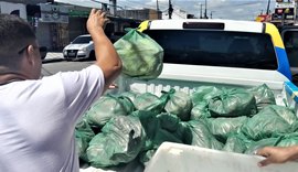 Quase 400 kg de alimentos estragados são apreendidos em supermercado no Jacintinho