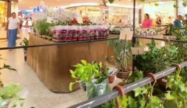 Feira de Flores de Holambra chega ao Maceió Shopping